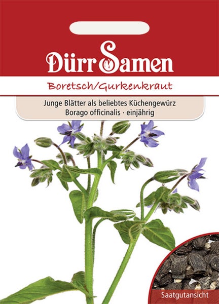 Samenpackung Dürr Samen Boretsch Gurkenkraut, einjährige Gewürzpflanze, Abbildung der Pflanze und Saatgutansicht.