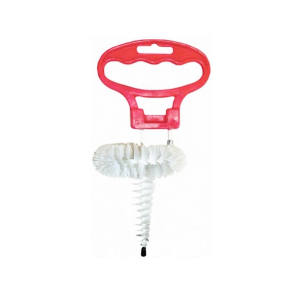 Blühende Mittagsblume im Topf