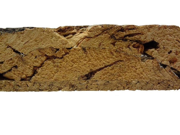Naturkork-Rinde mit strukturierter, grober Oberfläche für Terrarien oder Dekoration.