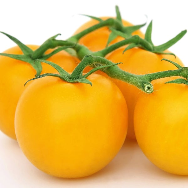 Gelbe Cherrytomaten an der Rispe.