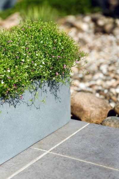 Grauer rechteckiger Pflanzkübel mit Steinoptik, bepflanzt mit kleinen rosa und weißen Blumen auf einer Terrasse mit Bodenfliesen.