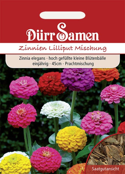 Samentüte Dürr Samen Zinnien Lilliput Mischung, einjährige Zinnia elegans mit gefüllten bunten Blüten, 45 Zentimeter Wuchshöhe und Saatgutansicht.