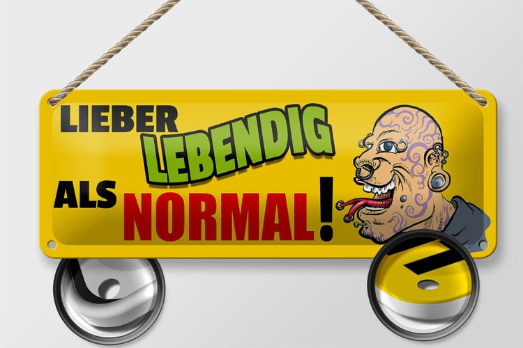 Blechschild Spruch 27x10cm lieber lebendig als normal Dekoration