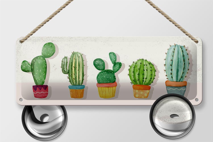 Blechschild Spruch 5 Kakteen Blumentopf Kaktus 27x10cm Dekoration