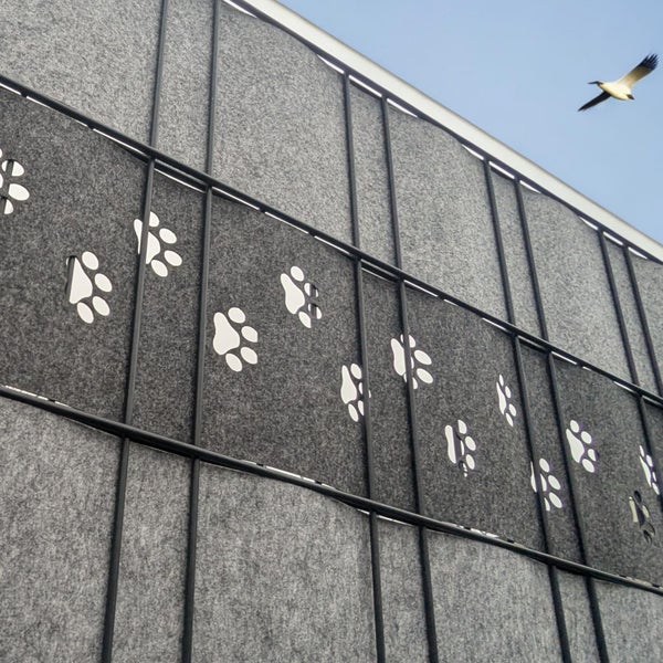 Graue Schallschutzwand mit Tatzenmuster und Vogel am Himmel