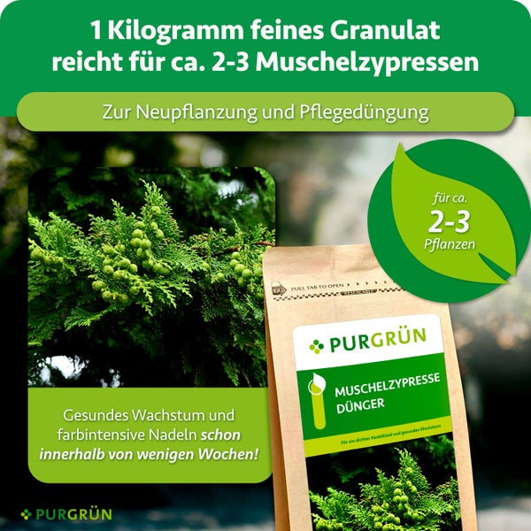 Purgrün Muschelzypresse Dünger für gesundes Wachstum und tiefgrüne Nadeln, ein Kilogramm Granulat für zwei bis drei Pflanzen.