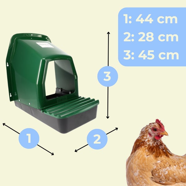 Grüner Hühnerlegestall aus Kunststoff mit Maßen: Länge 44 Zentimeter, Breite 28 Zentimeter, Höhe 45 Zentimeter. Mit Huhn als Größenvergleich.