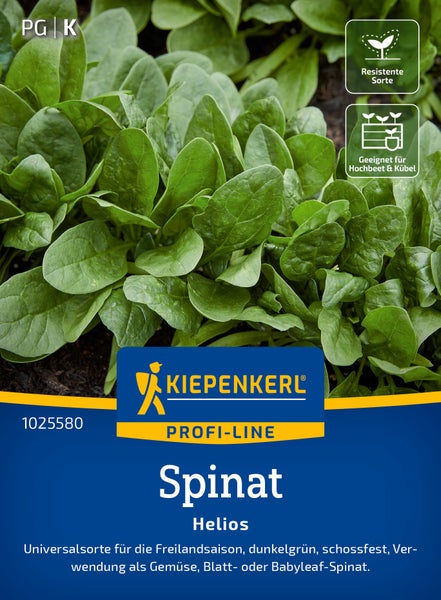Kiepenkerl Profi-Line Spinat Helios Saatgut für resistente Sorte, geeignet für Hochbeet und Kübel, für Freilandsaison und Babyleaf-Spinat.