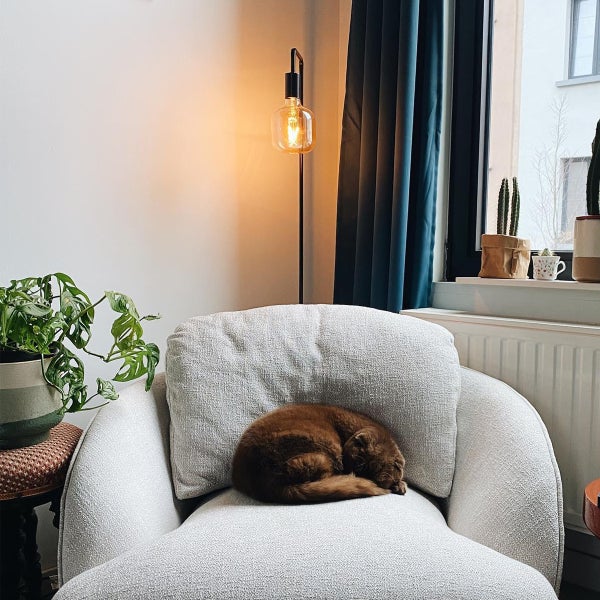Wohnzimmer mit Sessel, Stehlampe und Katze