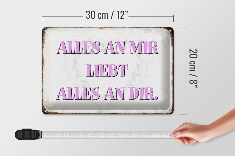 Blechschild Spruch 30x20cm alles an mir liebt alles an dir