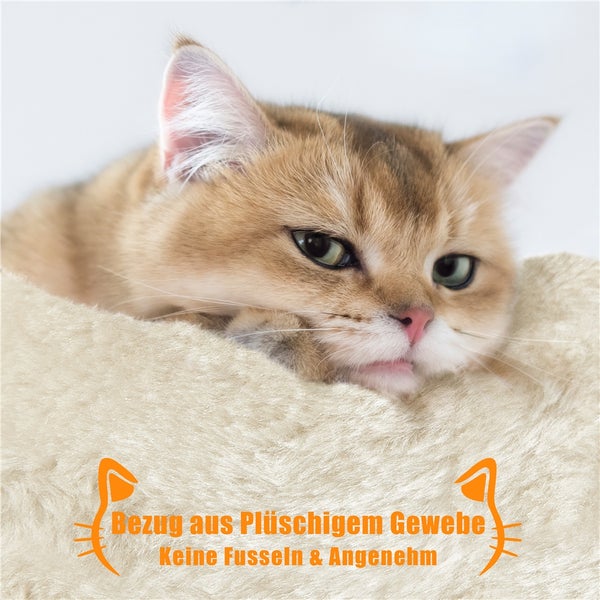 Katze ruht auf einem Katzenmöbel mit Bezug aus Plüschgewebe