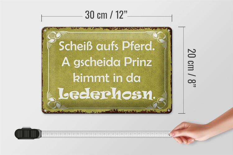Blechschild Spruch 30x20cm scheiß aufs Pferd Prinz kommt