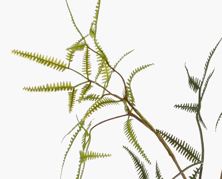 Künstliche orangefarbene Blüten an grünen Stielen.