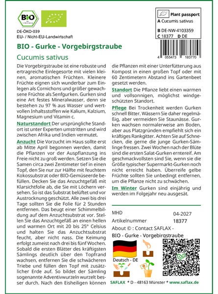 SAFLAX Garden to go - BIO - Gurke - Vorgebirgstraube - Cucumis sativus - 15 Samen - Mit Topf, Klima - Deckel und Anzuchtsubstrat