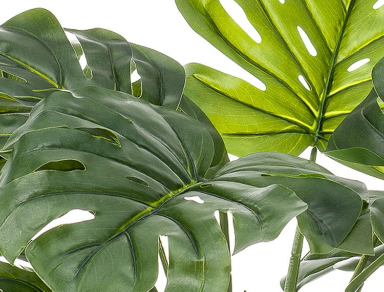 Strukturierter Pflanztopf im rustikalen Design mit einer grünen Pflanze.