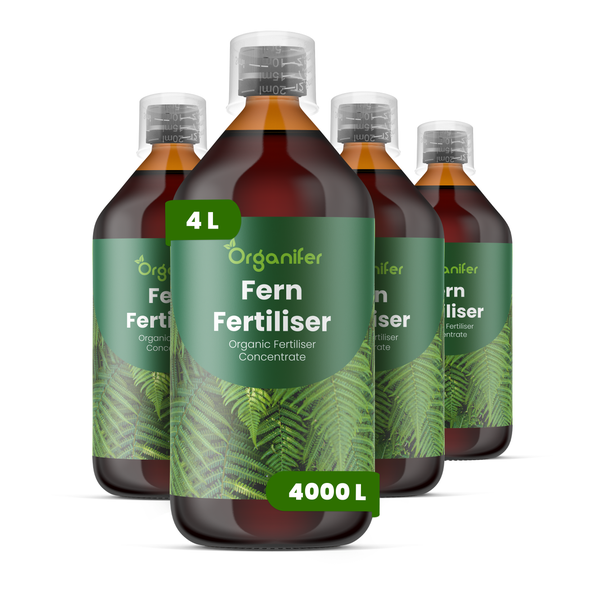 Organifer Bio-Farndünger-Konzentrat, 4er-Set mit insgesamt 4 Liter für bis zu 4000 Liter Gießwasser.