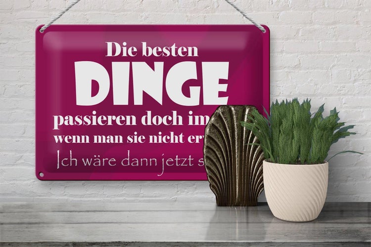 Blechschild Spruch 30x20cm Die besten Dinge