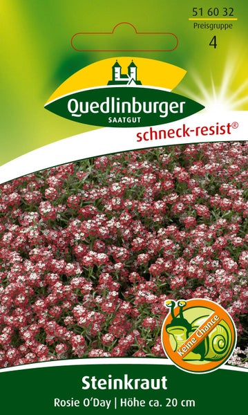 Rückseite der Saatgutpackung für Steinkraut Rosie O Day mit Informationen zu Aussaat, Keimung, Blütezeit, Pflegehinweisen und ISTA Mitglied Logo.