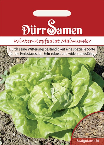 Dürr Samen Logo, Samentüte für Aroma-Tomaten Sparta F1 mit einer Abbildung von roten Tomaten an der Rispe und einer Detailansicht der Samen.
