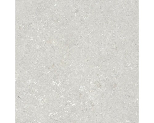 Wand- und Bodenfliese Shellstone bianco 60x60cm