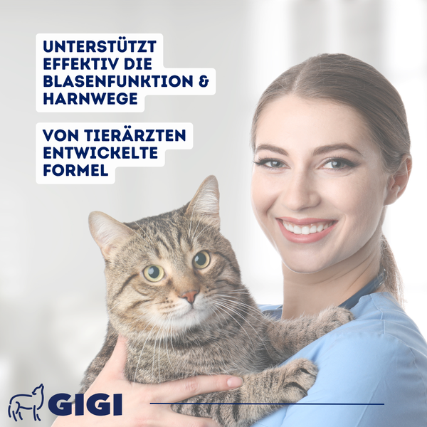 Frau hält Katze, Text unterstützt Blasengesundheit, Tierarzt entwickelte Formel, GiGi Logo