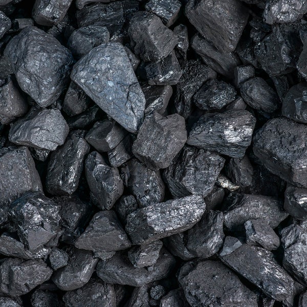 Sack mit 20 Kilogramm Imex-Piechota Steinkohle der Sorte Nuss medium und lose schwarze Kohlenstücke davor.