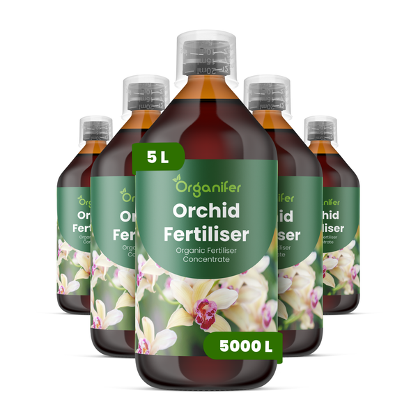 Fünf Flaschen Organifer Orchideendünger, organisches Düngerkonzentrat, jeweils 5 Liter.