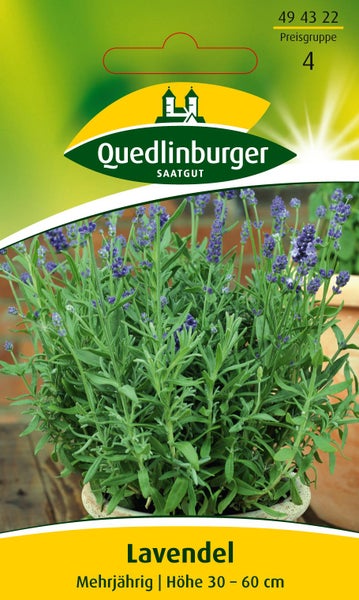 Samentüte für mehrjährigen Lavendel, Quedlinburger Saatgut Logo, Preisgruppe 4, Höhe 30 bis 60 Zentimeter.