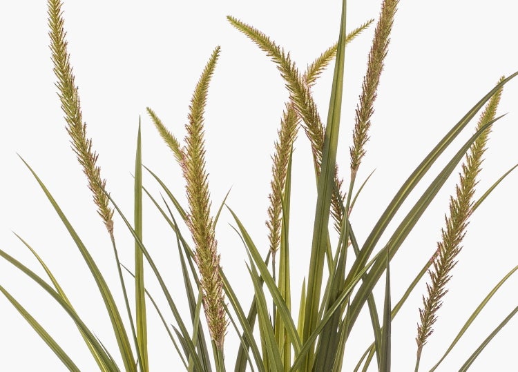 Künstliches Ziergras mit langen grünen Halmen.