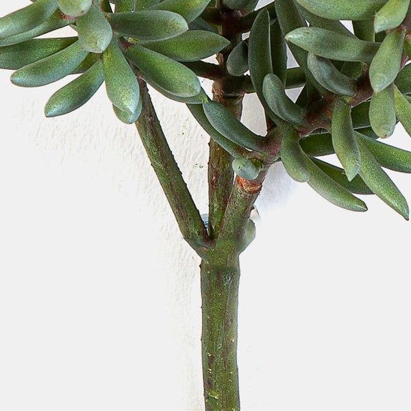 Künstlicher Zweig Sedum reflexum FEITE, Steckstab, grün, 40cm - Kunst Sukkulente