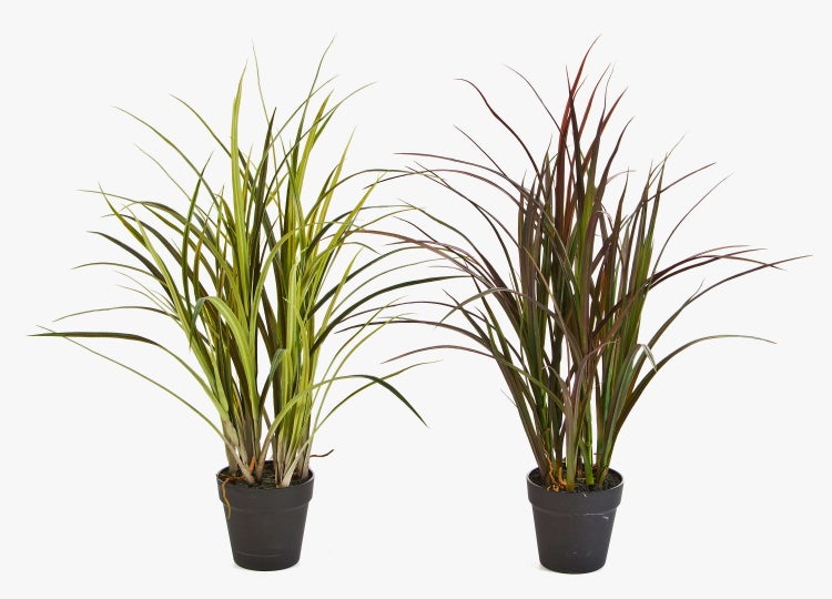 Künstliche Orchidee mit mehreren weißen Blüten und gelber Mitte an einem grünen Stiel.