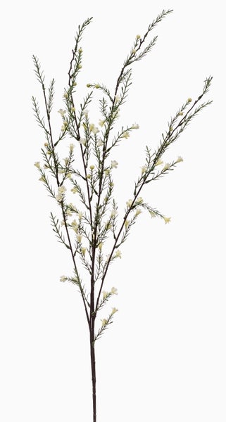 Künstlicher Blütenzweig mit kleinen weißen Blüten und grünen nadelartigen Blättern an einem braunen Stiel.