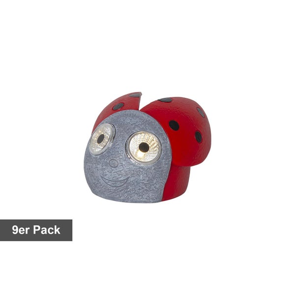 Neunerpackung Marienkäfer Solarlampe für den Garten