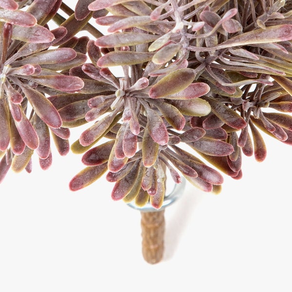 Künstliche Sukkulente als Stecker mit rötlich-grünen, länglichen Blättern in Rosettenform.