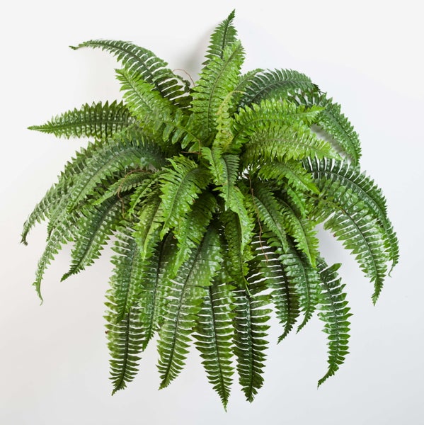 Künstlicher Farn mit dichten, grünen Farnwedeln.