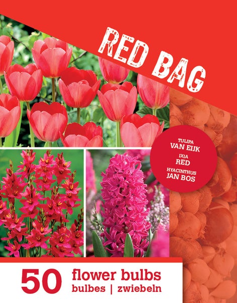 Packung mit 50 Blumenzwiebeln Red Bag, enthält Tulipa Van Eijk, Ixia Red und Hyacinthus Jan Bos.