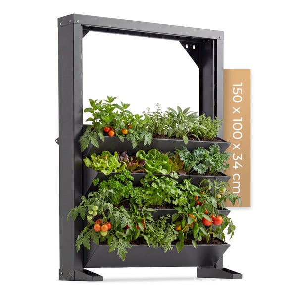 Vertikales Pflanzregal aus Metall mit vier Pflanzetagen, Maße 150 mal 100 mal 34 Zentimeter, bepflanzt mit Kräutern, Salat und Tomaten.