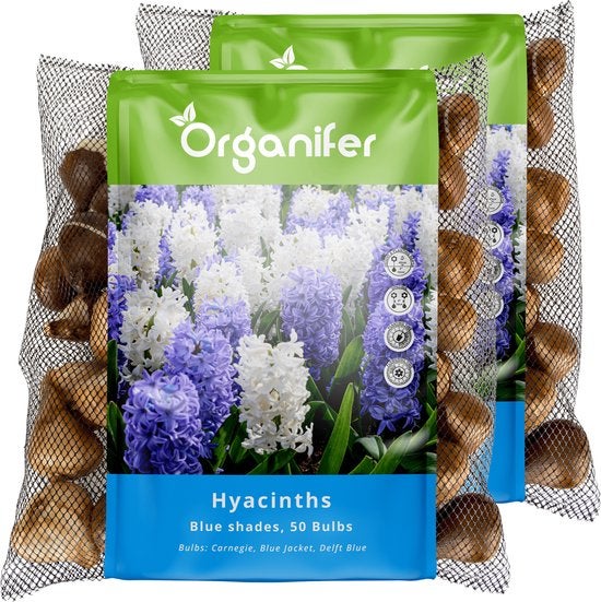 Zwei Packungen Organifer Hyazinthen Blumenzwiebeln, blaue Farbtöne, 50 Stück