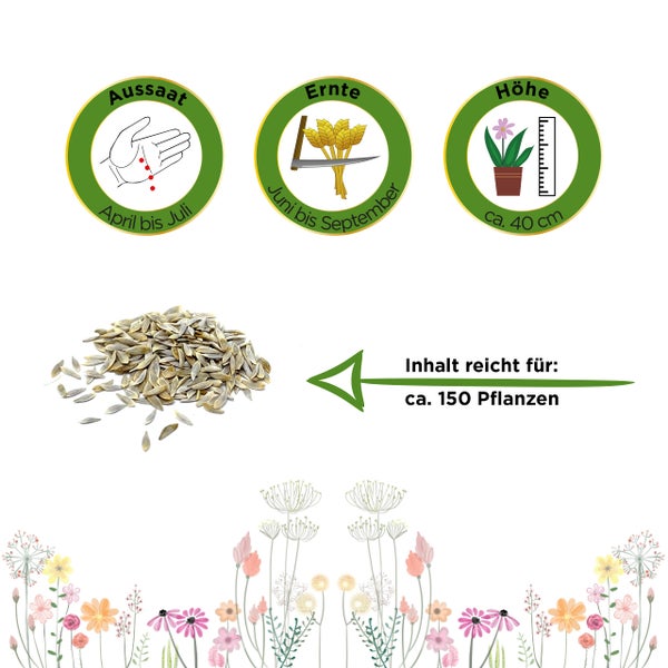 Aussaat April bis Juli, Ernte Juni bis September, Wuchshöhe circa 40 Zentimeter, Inhalt ausreichend für circa 150 Pflanzen.