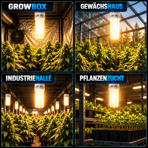 Vier Anwendungsbereiche für Pflanzenlampen in Growbox, Gewächshaus, Industriehalle und zur Pflanzenzucht mit hellem Licht für optimales Wachstum.