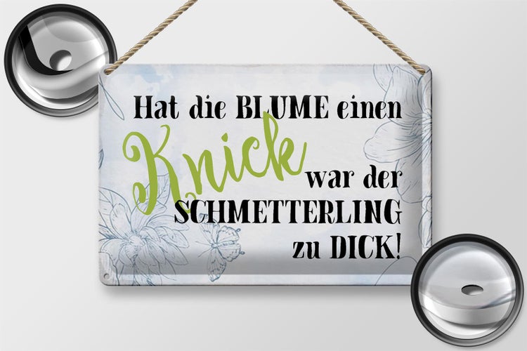 Blechschild Spruch 30x20cm hat Blume Knick Schmetterling