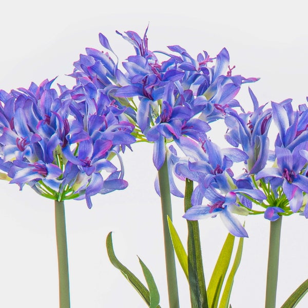 Künstliche Schmucklilie Agapanthus in Blau mit grünen Stielen.