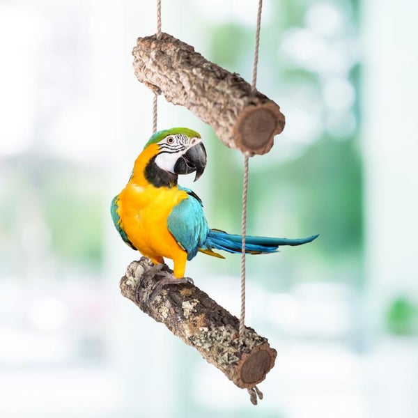 Gelbbrustara auf einem hängenden Vogelspielzeug aus Naturholz mit Rinde.