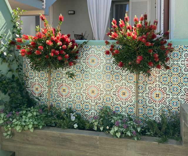 Szene mit zwei Zylinderputzer Pflanzen im Garten