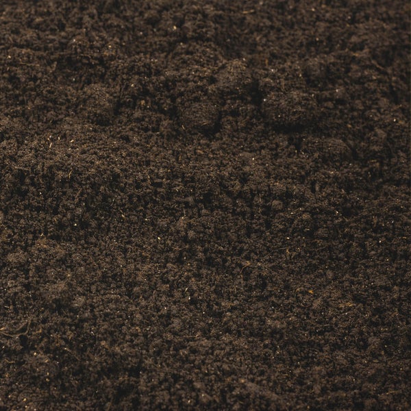 Nahaufnahme von dunkler, feinkörniger Blumenerde mit lockerer Struktur.