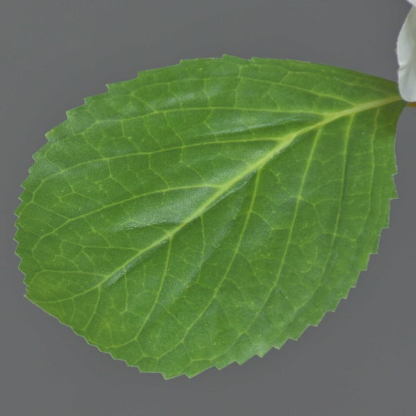 Künstliche Hortensie mit weißen Blüten und grünen Blättern am Stiel.