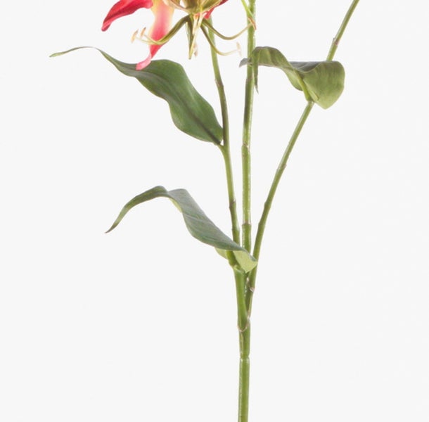 Künstliche Farnpflanze mit mehreren grünen Wedeln und kleinen Blättern.