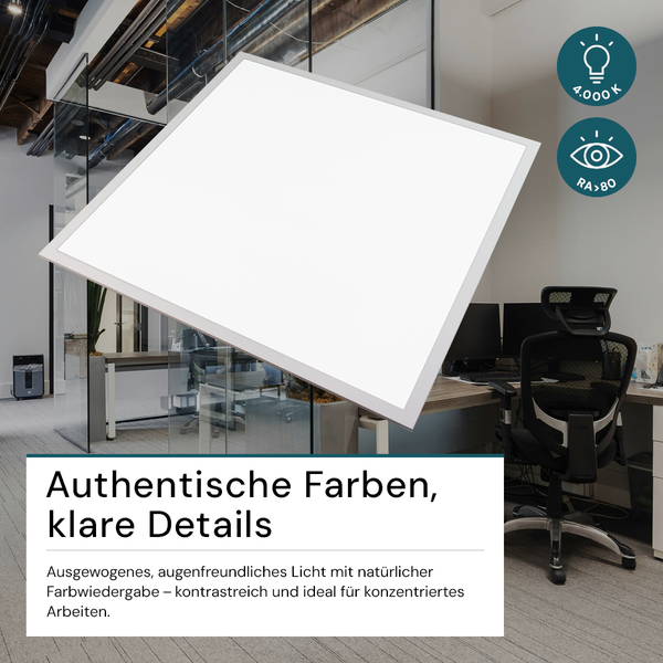 Blauer Werkzeugkoffereinsatz aus Kunststoff mit verschiedenen Fächern für Werkzeuge.