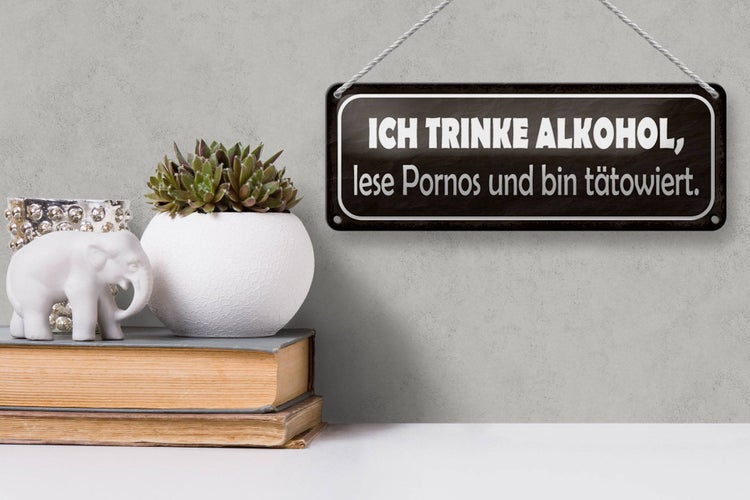Blechschild Spruch 27x10cm ich trinke lese Pornos Dekoration