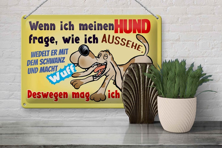 Blechschild Spruch 30x20cm wenn ich meinen Hund frage